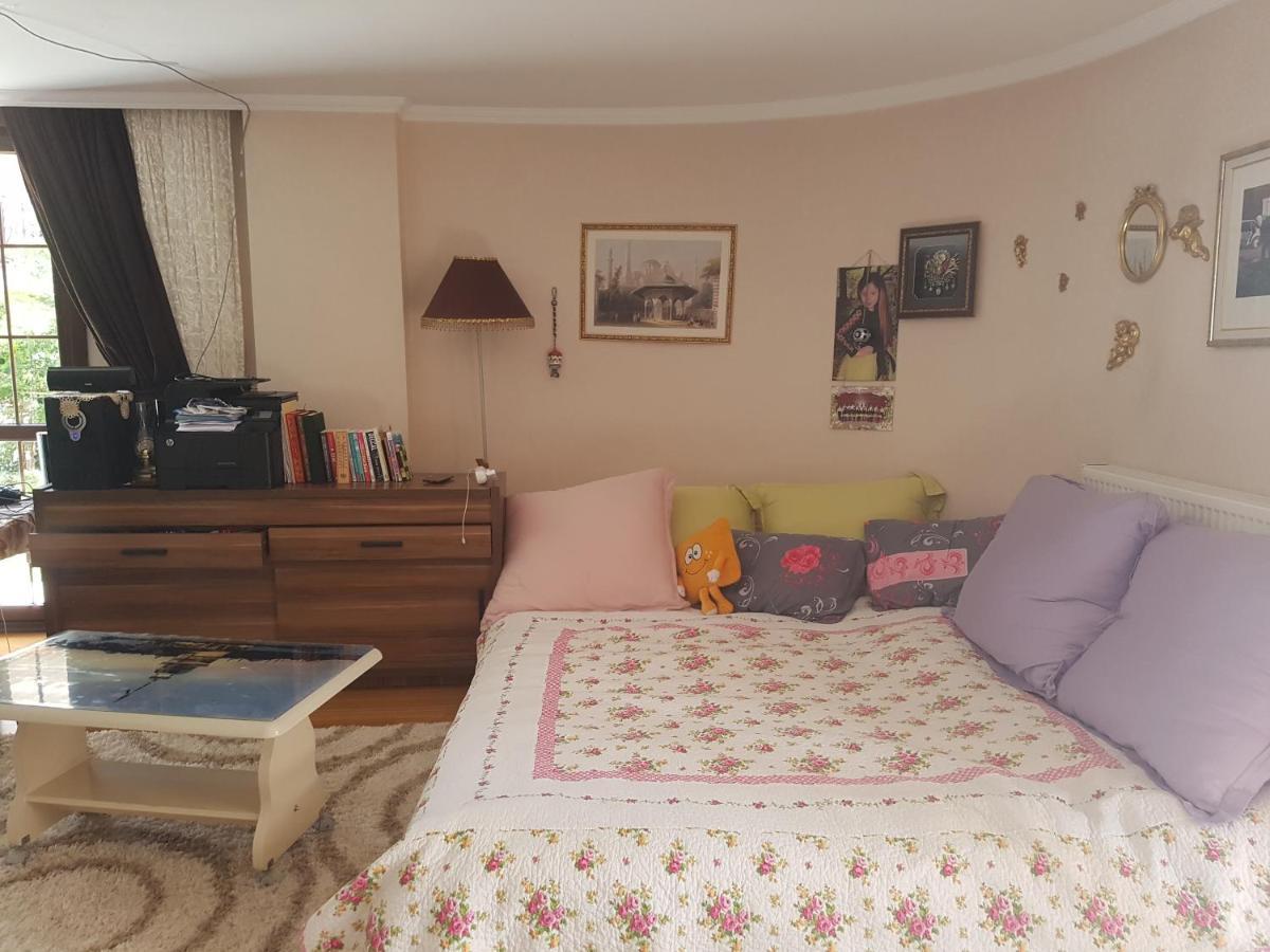 Avsaroglu Konaklari Daire *